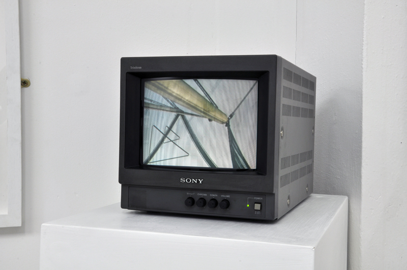 Snowdon Aviary (1964 Series), 8mm film transferred to DV, 02:13 loop, 2013.
